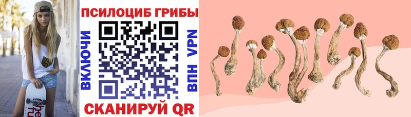Псилоцибиновые грибы Magic Shrooms  Купить где  Миасс 